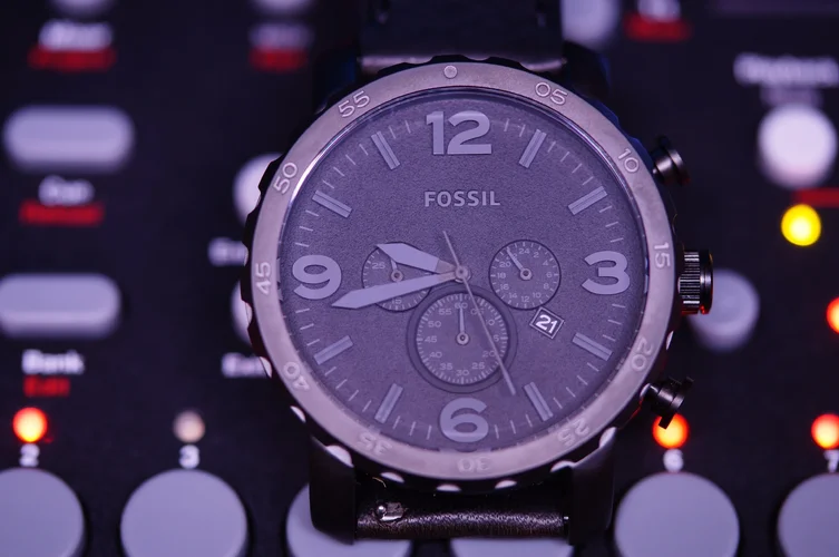 Fossil ganz Kopie.webp