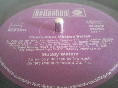 muddy waters.jpg