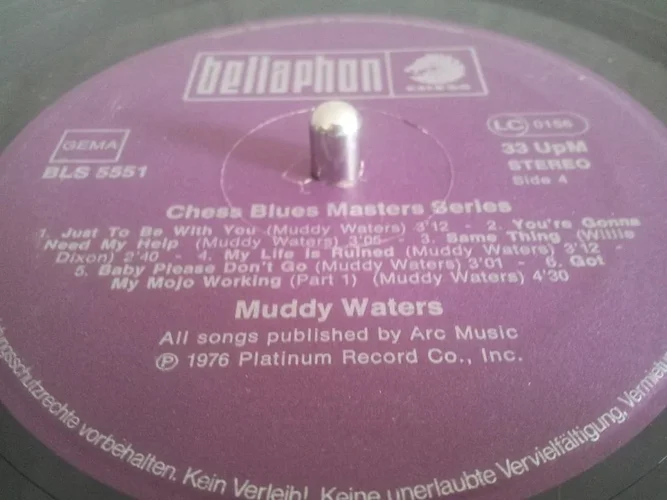 muddy waters.webp