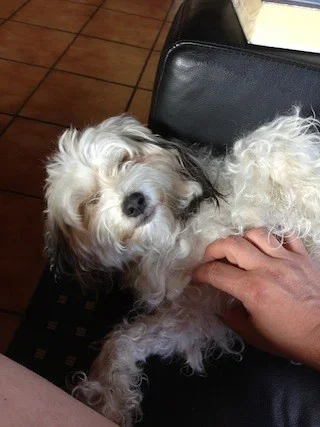 2013-07-27 08.55.45.webp