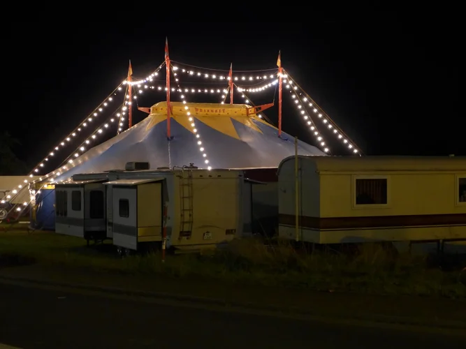 Zirkus.webp