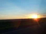 Cyberpvnk - Sunny Autum.webp