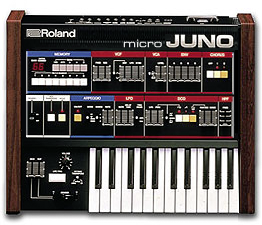 microJUNO.png