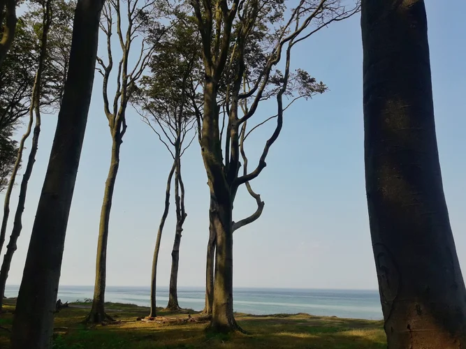 20190827_130732-01.webp 20190827_130732-01.webp