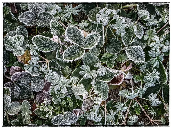 668DF569-D405-40A4-9EA8-D4000DE81C9D.webp 668DF569-D405-40A4-9EA8-D4000DE81C9D.webp