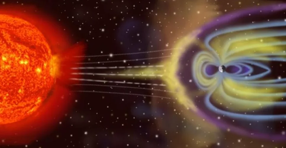 1574206774546.webp 1574206774546.webp