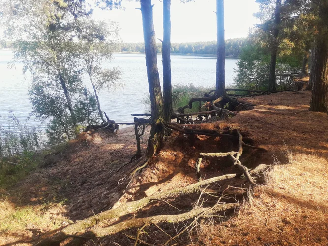 20190906_155952-01.jpeg 20190906_155952-01.jpeg