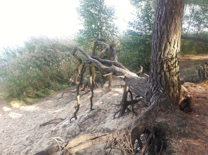 20190906_160146-01.jpeg 20190906_160146-01.jpeg