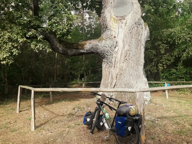 20190904_102423-01.jpeg 20190904_102423-01.jpeg