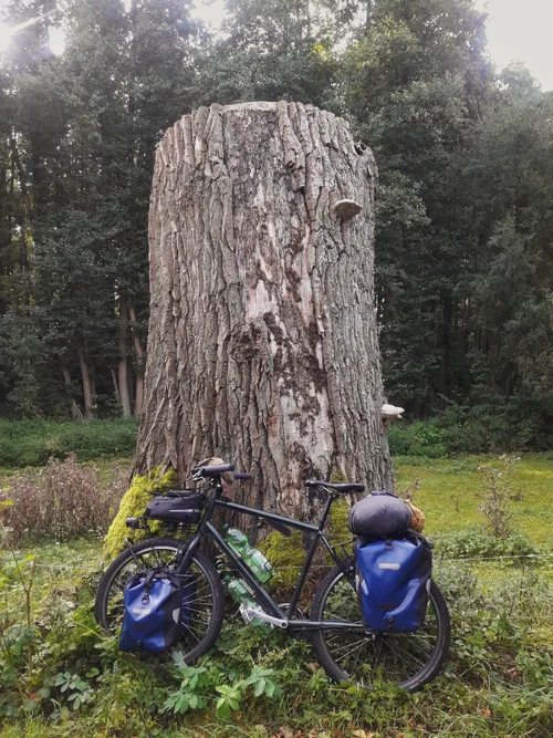 20190904_091315-01.jpeg 20190904_091315-01.jpeg