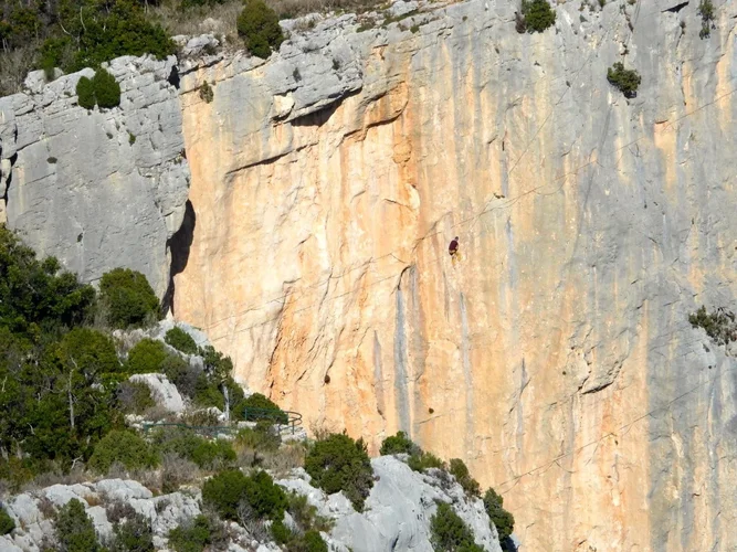 IMG_2810.webp IMG_2810.webp