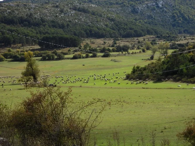 IMG_2653.webp IMG_2653.webp