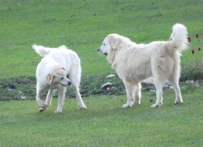 IMG_2658.webp IMG_2658.webp