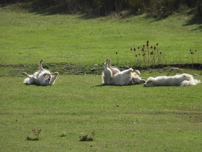 IMG_2656.webp IMG_2656.webp