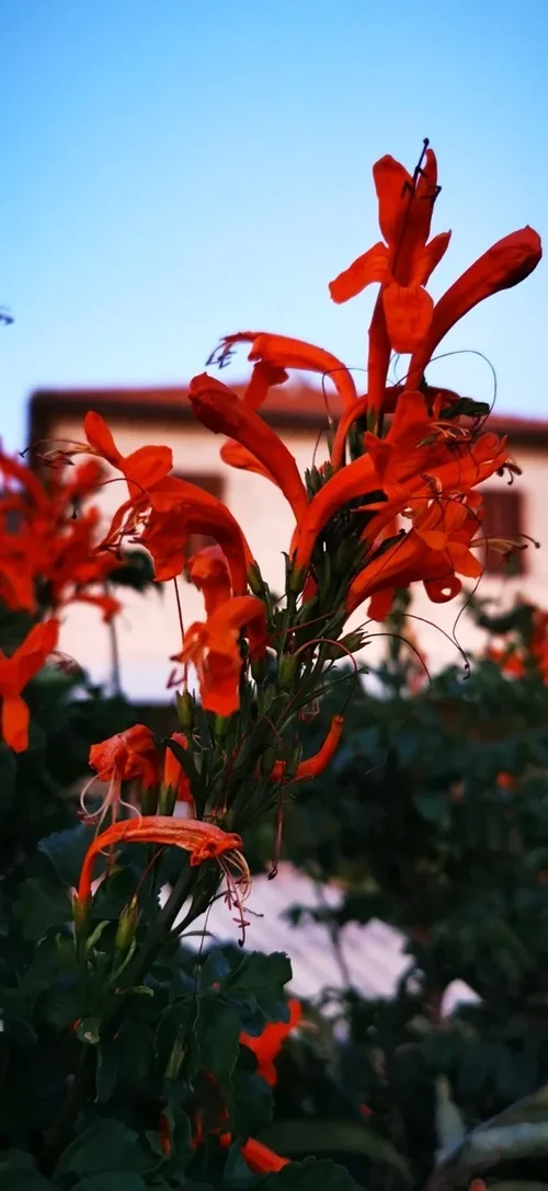 Natur1.jpg Natur1.jpg