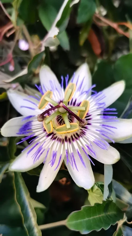 Natur2.jpg Natur2.jpg