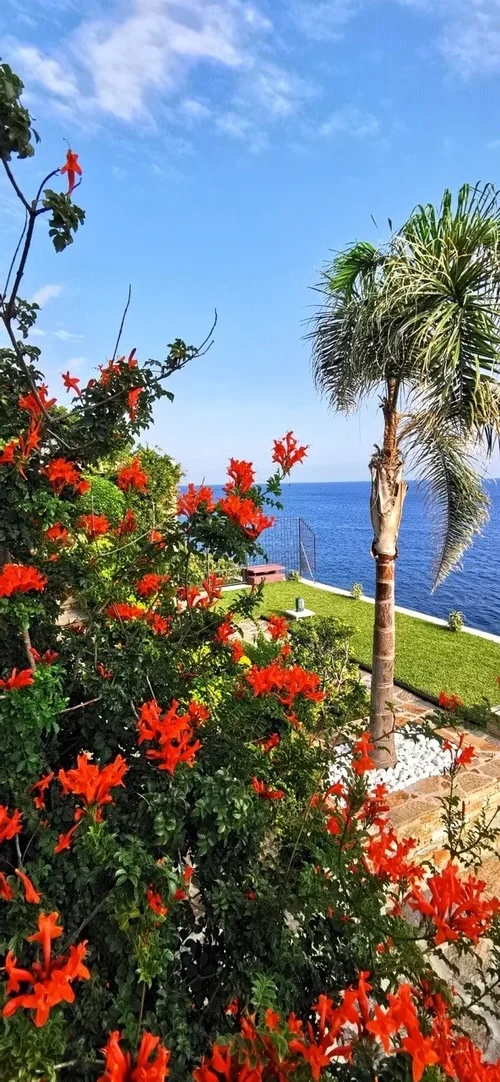 Natur5.jpg Natur5.jpg