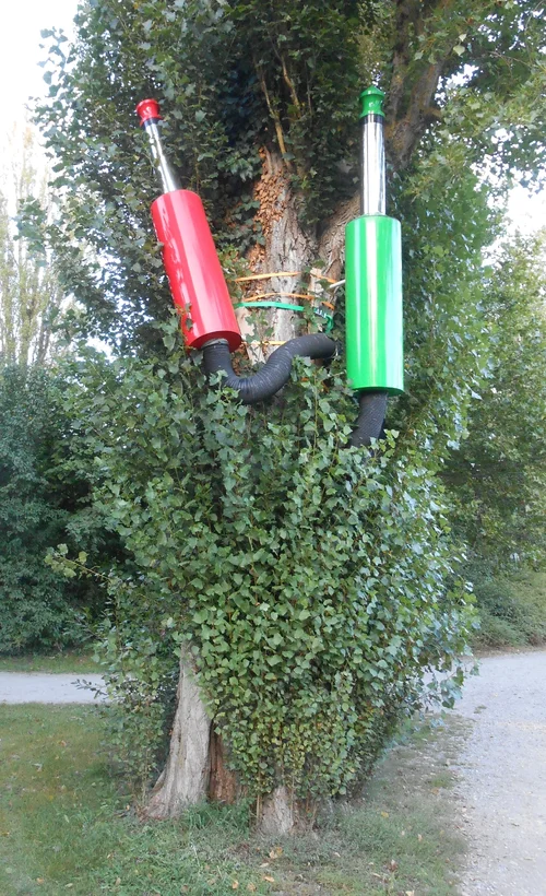 kabel im baum.webp kabel im baum.webp