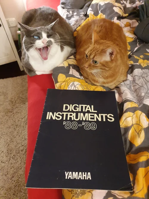 20200204_220341(0).jpg 20200204_220341(0).jpg