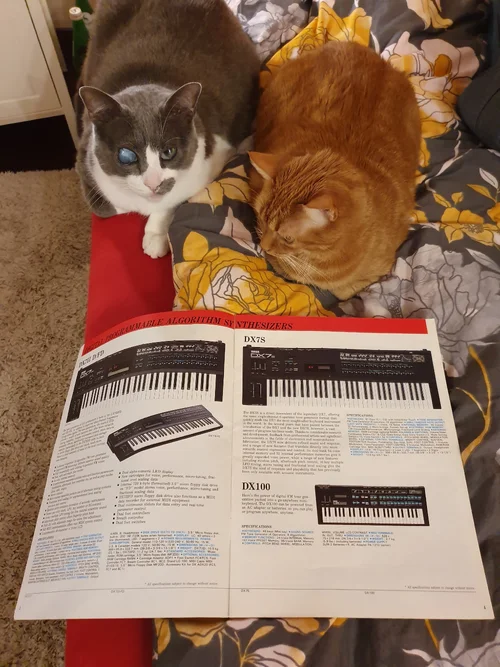 20200204_220402.jpg 20200204_220402.jpg