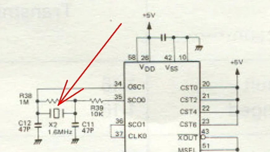 tr555_1.webp tr555_1.webp