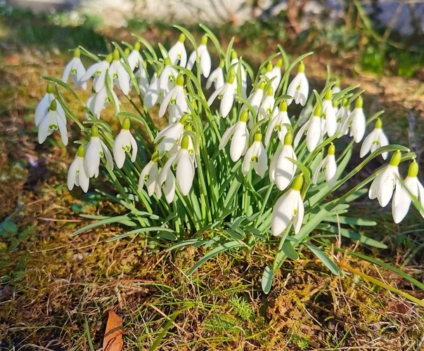 a1Foto.jpg a1Foto.jpg