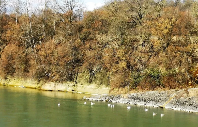 a2Foto.jpg a2Foto.jpg