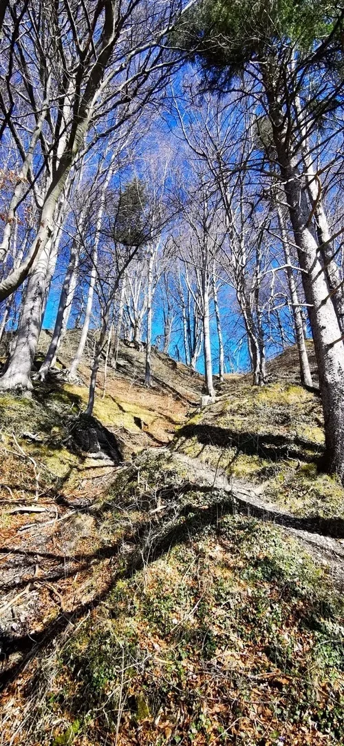 a3Foto.jpg a3Foto.jpg