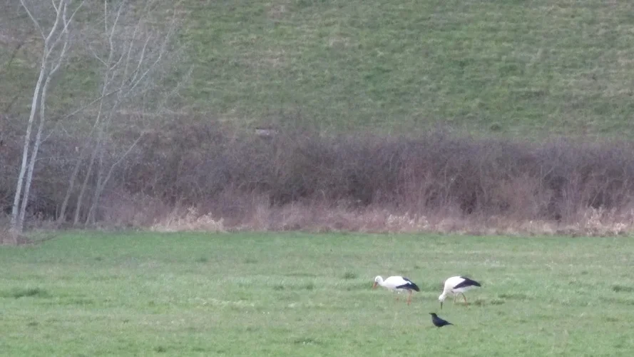 200303_14_960x540.webp 200303_14_960x540.webp