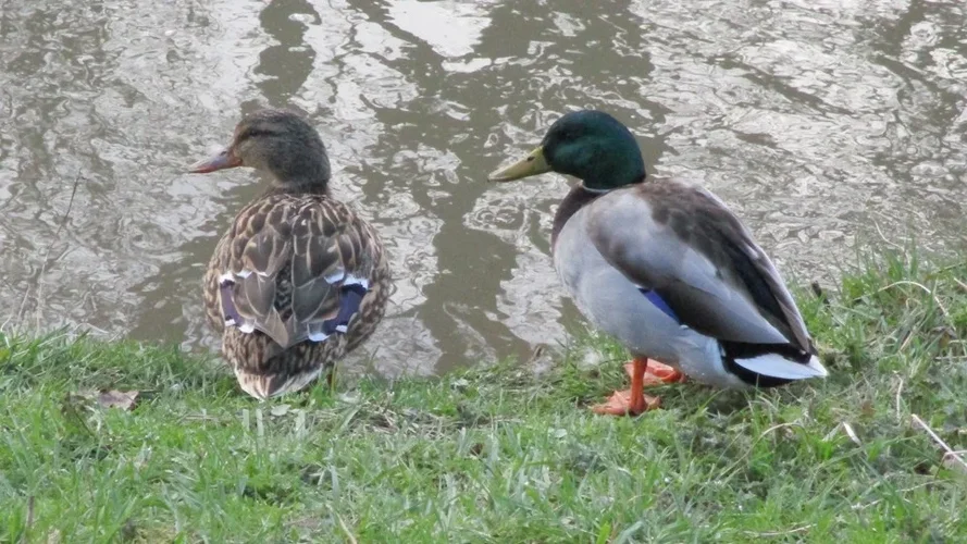 200303_24_960x540.webp 200303_24_960x540.webp