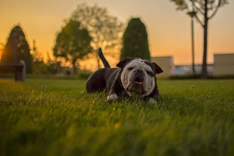 letsplay.webp letsplay.webp