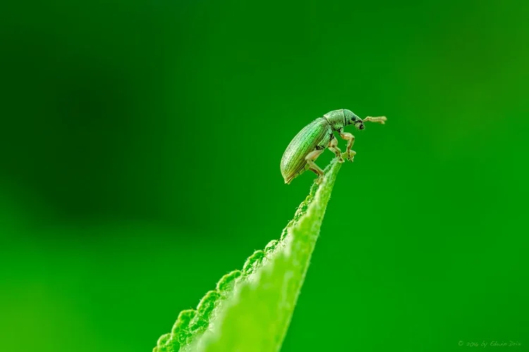 aussicht-2.jpg aussicht-2.jpg