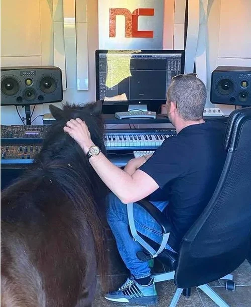 1trickpony.jpg 1trickpony.jpg