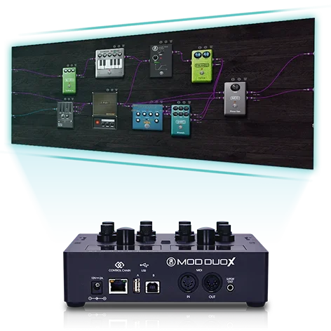 signal freedom (2).webp