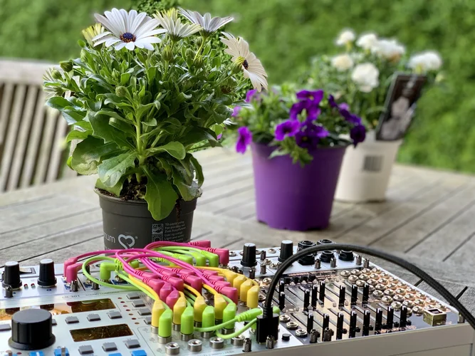 4A0ADB16-9FF6-481F-AA23-544D64C6E64F.webp 4A0ADB16-9FF6-481F-AA23-544D64C6E64F.webp