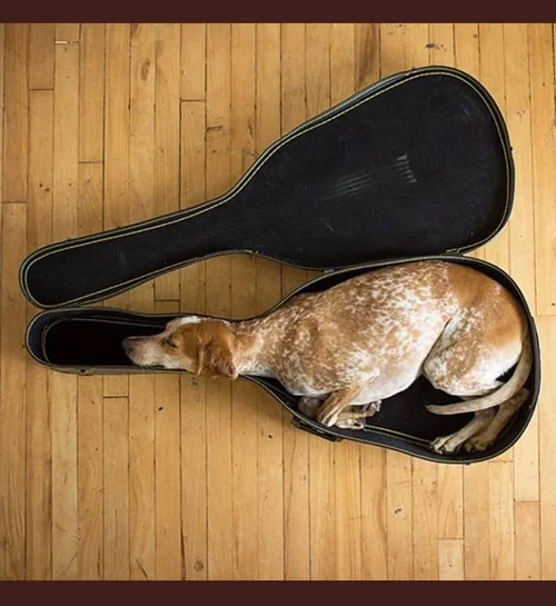 IMG-20200512-WA0010.webp IMG-20200512-WA0010.webp