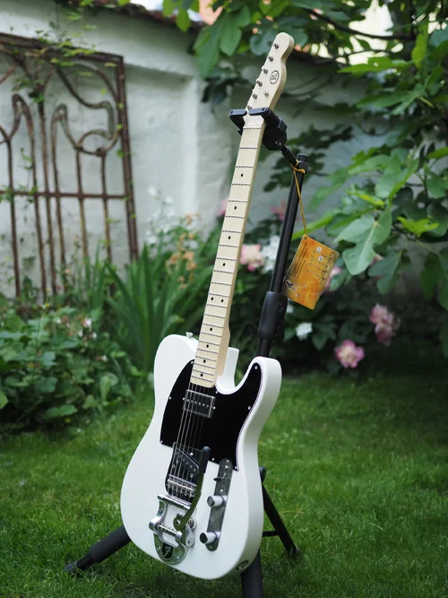 P5261521b Kopie.webp