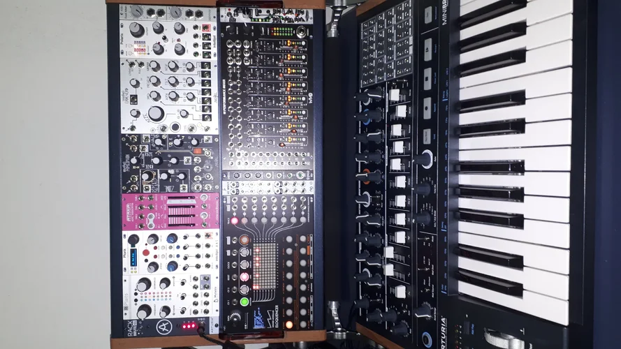 Minibrute.webp Minibrute.webp