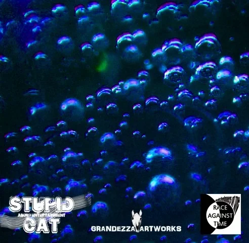 stupid cat cover 2222.webp