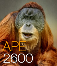 ape2600.png