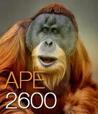 ape2600.webp