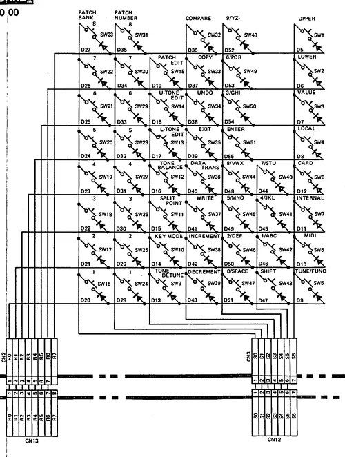 D50_1.webp D50_1.webp