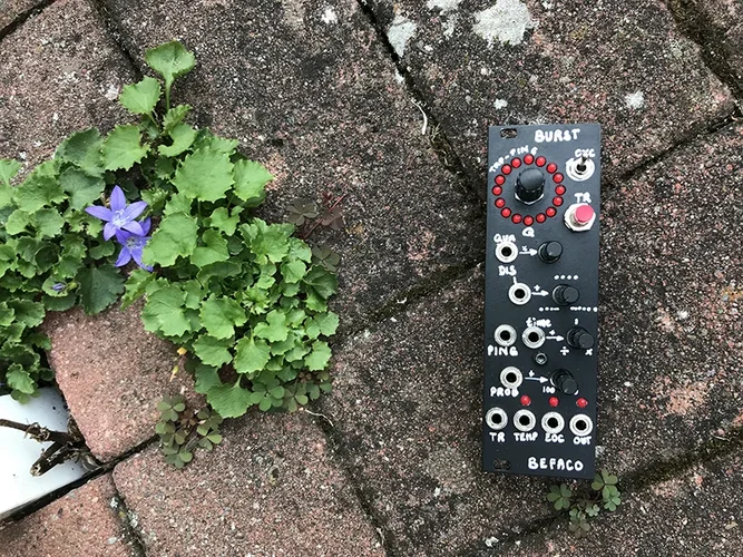 burst1.webp burst1.webp