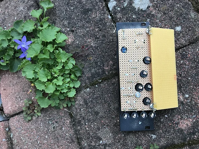 burst2.webp burst2.webp