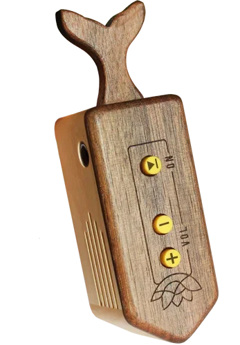 1600062915842.webp 1600062915842.webp