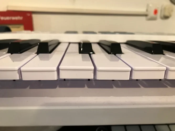 107B92B0-3DD6-4747-9926-E7FB99086592.jpeg 107B92B0-3DD6-4747-9926-E7FB99086592.jpeg