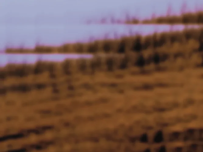 Wasteland.jpg Wasteland.jpg