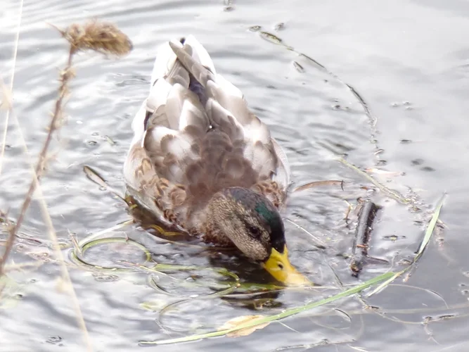 200925_1168_960x720.webp 200925_1168_960x720.webp