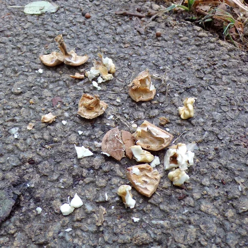 200925_1319_960x960.webp 200925_1319_960x960.webp