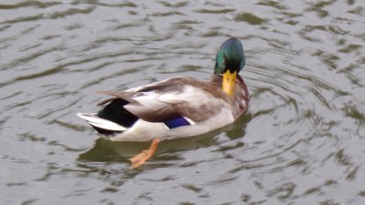 200925_1177_960x540.jpg